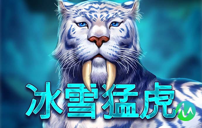 k体育下载